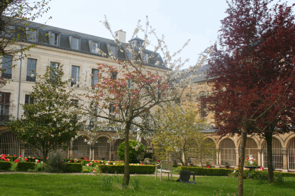 jardin coté cloître